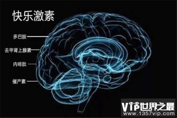 多巴胺和内啡肽的区别 使用多巴胺的注意事项