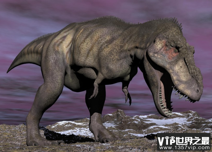 关于恐龙灭绝的原因，为什么哺乳动物没有死掉？