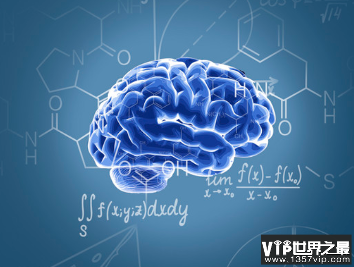 大脑开发100%会怎么样，人类将变成一个只会思考的动物
