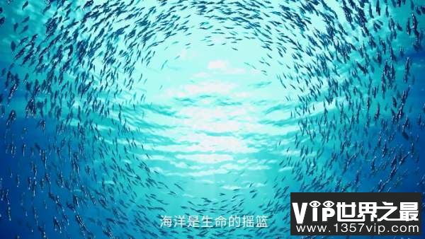 海洋生物多样性保护策略,海洋生物多样性为人类