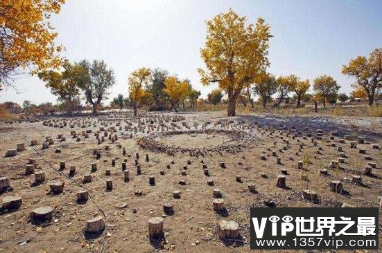 揭秘新疆太阳墓之谜，大规模砍伐林木导致楼兰灭绝