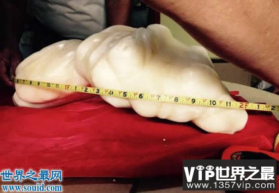 世界上最大的珍珠，重78斤被雪藏10年(价值1亿美金)(www.5300tv.com)