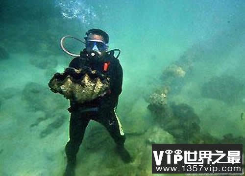 世界上最大的珍珠，重78斤被雪藏10年(价值1亿美金)(www.5300tv.com)