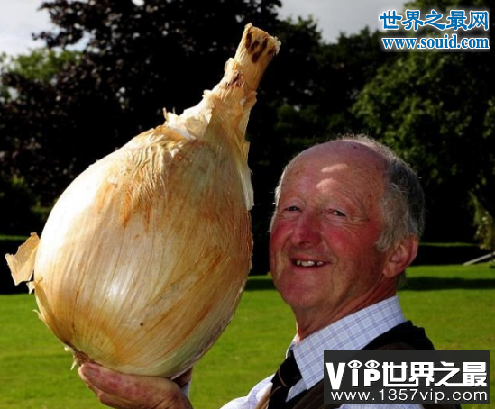 世界上最大的花菜，英国老汉种出54斤花菜(www.5300tv.com)