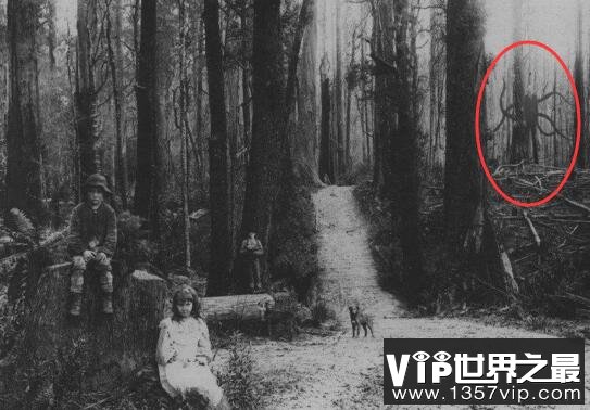 瘦长鬼影slender man，美国恐怖传说中的杀人狂