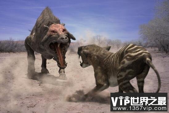 6500万年前远古巨猪，长3米重达2000斤(野牛一般)