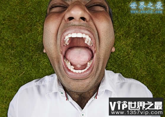 2016年吉尼斯世界纪录大全15个精选(www.5300tv.com)