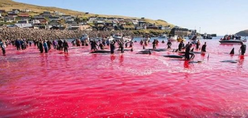 奇闻异事-澳大利亚海域出现血色海水