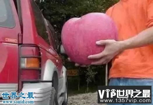 世界上最大的冰淇淋，重达1.4吨/高1.67米(图)(www.5300tv.com)