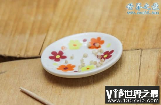 世界上最小的饺子，吃1000都吃不饱(0.0016克)(www.5300tv.com)