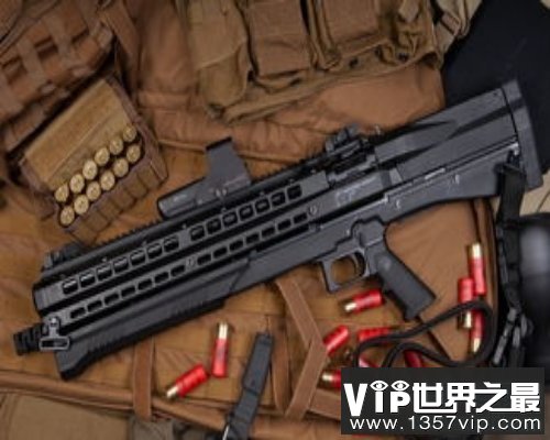 威力巨大的近战武器-霰弹枪(www.5300tv.com)