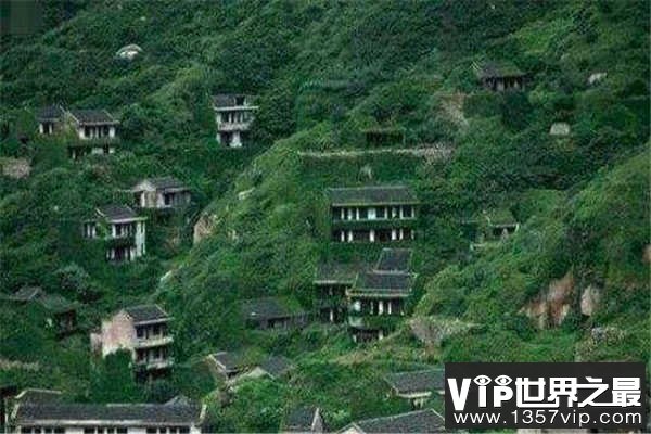 秦岭事件20万人