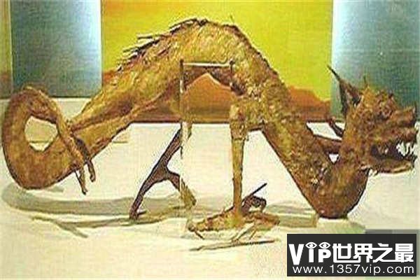 龙是否真的存在？世界上真的有龙吗？(图文)
