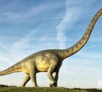 世界上最大的恐龙排名，长70米的易碎双腔龙排第一