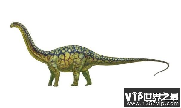 世界十大恐龙之最，南方巨兽龙上榜最凶猛恐龙