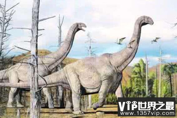 盘点地球上最大的恐龙，普尔塔龙上榜排在第三位