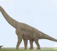 盘点地球上最大的恐龙，普尔塔龙上榜排在第三位