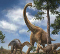世界上最重的恐龙之一：腕龙，体重30吨，身长26米如五层大楼