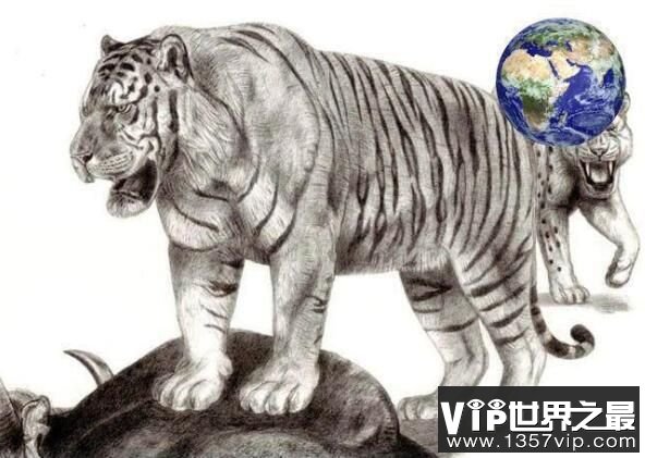 世界上最大的猫科动物：东北亚巨虎，体长4米，重约800公斤