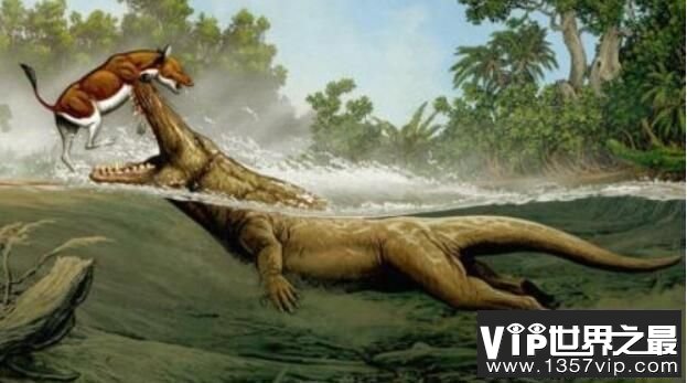 比恐龙还早的八大巨兽排行，陆行鲸活在5亿年前排名第一