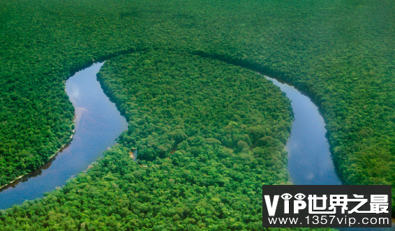 世界上最大的盆地刚果盆地，面积为加拿大的1/3(337万平方公里)