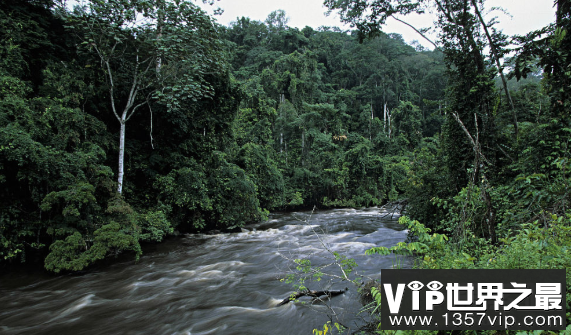 世界上最大的盆地刚果盆地，面积为加拿大的1/3(337万平方公里)