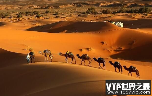 世界上最大的沙漠：撒哈拉沙漠，比美国都大的沙漠