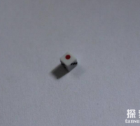 世界上最小的骰子，只有0.3毫米大小，纳米工艺的精品
