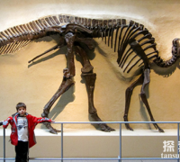 始鸭嘴龙：鸭嘴龙类恐龙的始祖，长有数百颗牙齿的恐龙