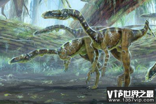原美颌龙：体长仅1.2米的小型恐龙（骨骼中空/体型轻盈）