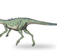 小力加布龙：体长不到1米的小型食肉恐龙（力加布的小东西）