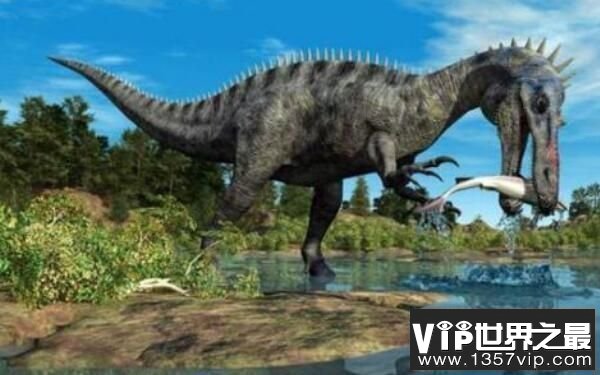 似鳄龙：非洲大型食肉恐龙（体长11米/嘴巴似鳄鱼）