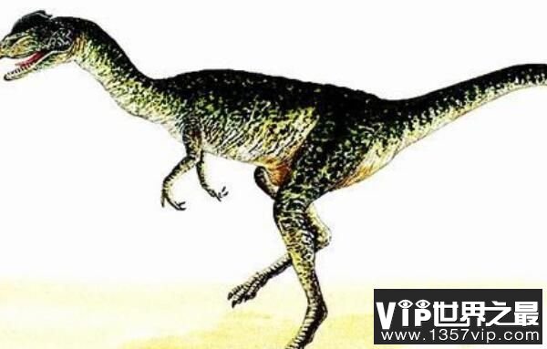 斯基玛萨龙：非洲大型食肉恐龙（长10.5米/北非掠食者）