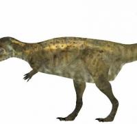 阿贝力龙：前肢短小的大型食肉恐龙（体长7.9米/白垩纪晚期）