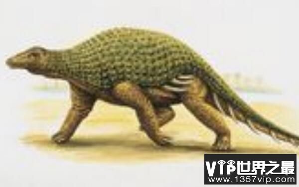 林木龙：北美洲小型食草恐龙，体长4米（性情温和）