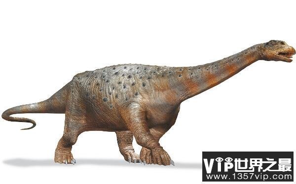 萨尔塔龙：南美洲食草恐龙（身长13米/体重8吨）