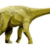 温顿巨龙：澳大利亚四足食草恐龙（长16米/白垩纪早期恐龙）