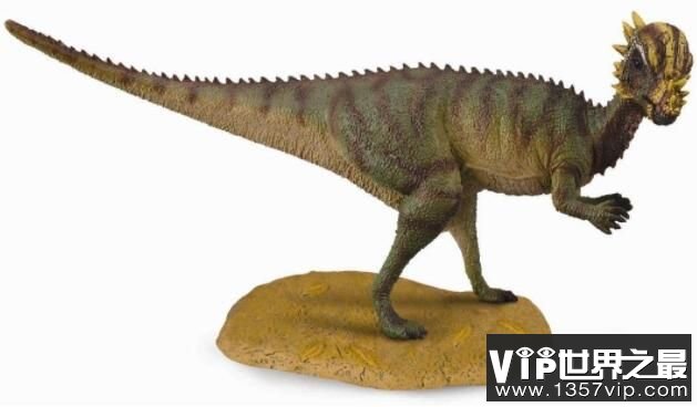 肿头龙：厚头龙科恐龙之一，头顶长有圆形骨板的中型恐龙