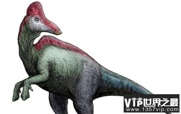 黑龙江龙：亚洲大型食草恐龙（体长10米/晚白垩世恐龙）