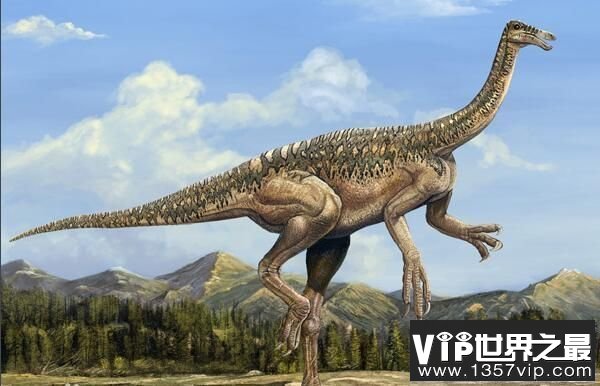 神州龙：辽宁小型食草恐龙，体长1.25米（早白垩世恐龙）