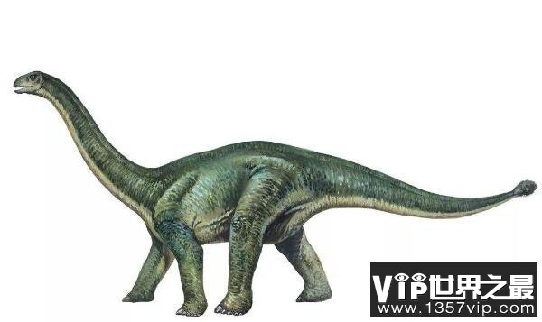 蜀龙：四川大型食草恐龙（长11米/性情温和）
