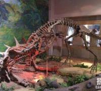 四川发现的恐龙盘点，宣汉龙与文雅龙均为四足恐龙