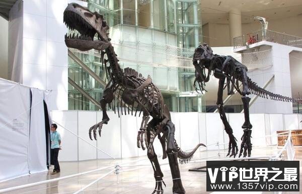 开江龙：类似斑龙的大型食肉恐龙（长9米/侏罗纪中期）