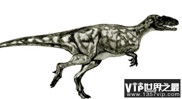 时代龙：云南大型食肉恐龙，体长8米(超大型恐龙）