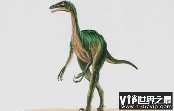 卞氏龙：云南出土的早侏罗纪恐龙，又名卞氏的蜥蜴