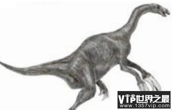 杏齿龙：阿根廷大型食草恐龙（长15米/中侏罗世恐龙）