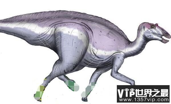 独孤龙：阿根廷小型食草恐龙（长3米/距今7300万年）