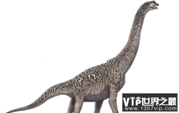利加布龙：巨型食草恐龙，体长24米，生活在白垩纪早期