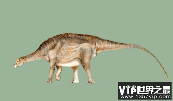内乌肯龙：阿根廷食草恐龙（长15米/距今8300万年前）
