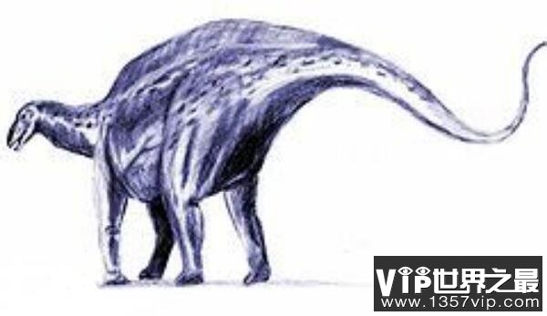 短劲潘龙(Brachytrachelopan)：长10米的阿根廷大型食草恐龙
